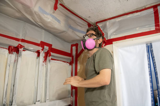 Best Biohazard Mold Removal  in Hoyt Lakes, MN