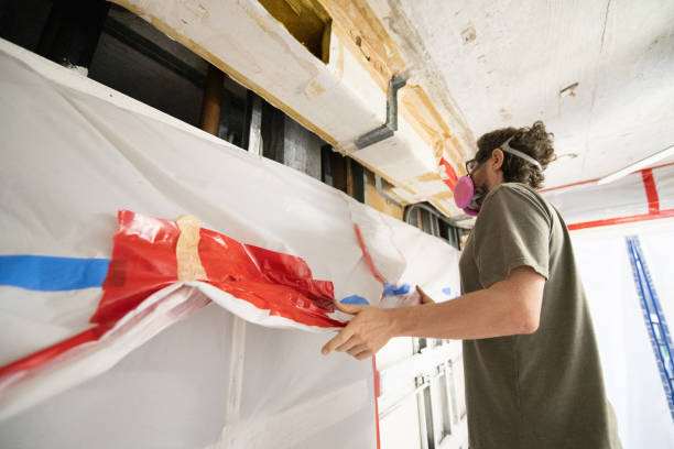 Best Water Damage & Mold Remediation  in Hoyt Lakes, MN