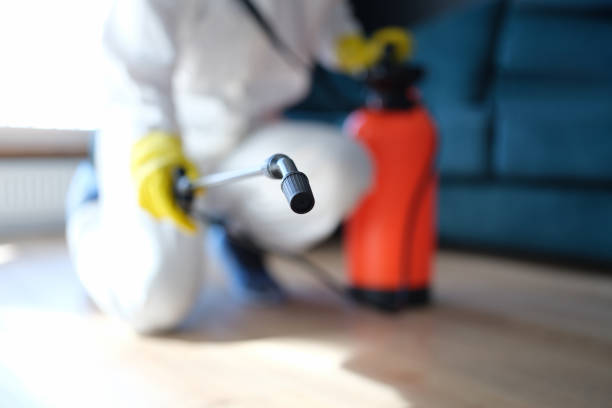 Best Mold Remediation for Healthcare Facilities  in Hoyt Lakes, MN