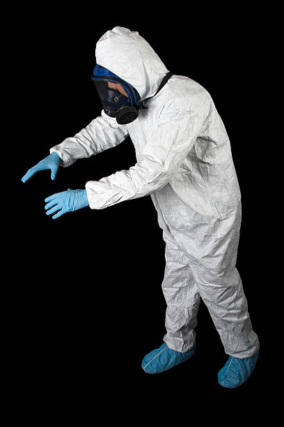 Best Black Mold Removal  in Hoyt Lakes, MN
