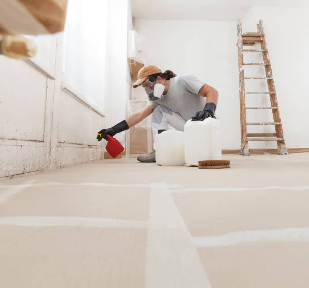 Best Commercial Mold Inspection  in Hoyt Lakes, MN